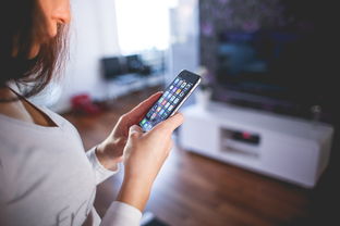 米兰体育APP-数字化体育教学平台建设与用户体验分析，数字体育平台是什么